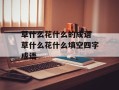 草什么花什么的成语 草什么花什么填空四字成语