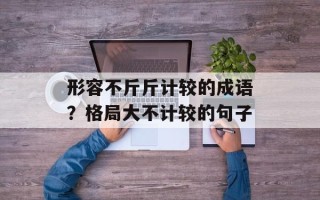 形容不斤斤计较的成语？格局大不计较的句子