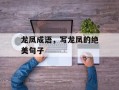 龙凤成语，写龙凤的绝美句子