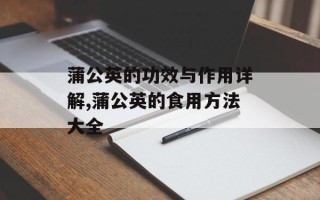 蒲公英的功效与作用详解,蒲公英的食用方法大全