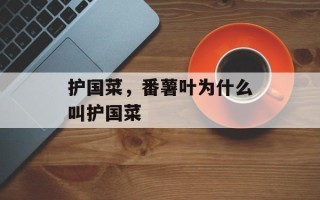 护国菜，番薯叶为什么叫护国菜