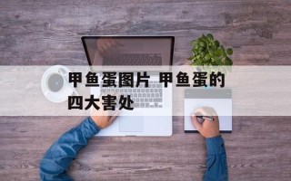 甲鱼蛋图片 甲鱼蛋的四大害处