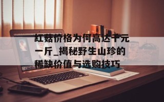 红菇价格为何高达千元一斤_揭秘野生山珍的稀缺价值与选购技巧