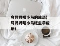 鸟妈妈喂小鸟的成语(鸟妈妈喂小鸟吃虫子成语)