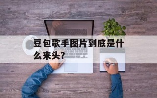 豆包歌手图片到底是什么来头？