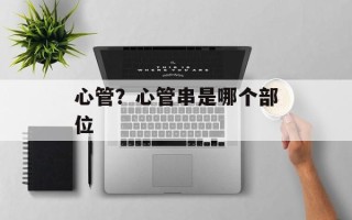心管？心管串是哪个部位
