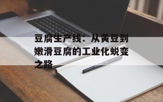 豆腐生产线：从黄豆到嫩滑豆腐的工业化蜕变之路