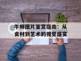 牛柳图片鉴赏指南：从食材到艺术的视觉盛宴