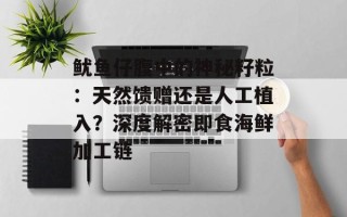 鱿鱼仔腹中的神秘籽粒：天然馈赠还是人工植入？深度解密即食海鲜加工链