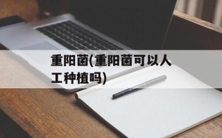 重阳菌(重阳菌可以人工种植吗)