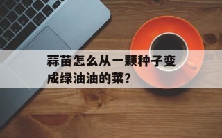 蒜苗怎么从一颗种子变成绿油油的菜？