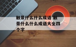 触景什么什么成语 触景什么什么成语大全四个字