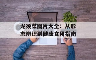 龙须菜图片大全：从形态辨识到健康食用指南