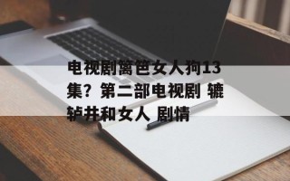电视剧篱笆女人狗13集？第二部电视剧 辘轳井和女人 剧情