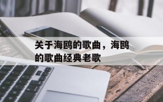 关于海鸥的歌曲，海鸥的歌曲经典老歌