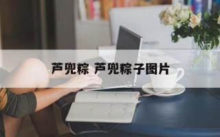 芦兜粽 芦兜粽子图片