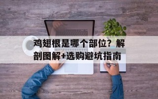 鸡翅根是哪个部位？解剖图解+选购避坑指南