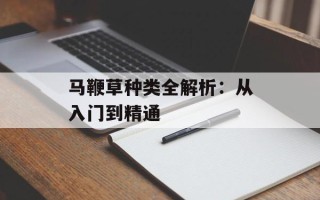 马鞭草种类全解析：从入门到精通