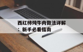 西红柿炖牛肉做法详解：新手必看指南