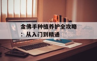 金佛手种植养护全攻略：从入门到精通