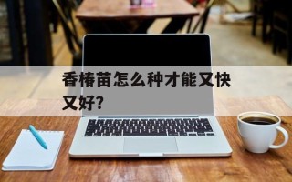 香椿苗怎么种才能又快又好？