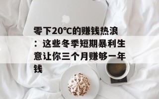 零下20℃的赚钱热浪：这些冬季短期暴利生意让你三个月赚够一年钱