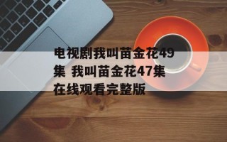 电视剧我叫苗金花49集 我叫苗金花47集在线观看完整版