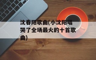 沈春阳歌曲(小沈阳唱哭了全场最火的十首歌曲)