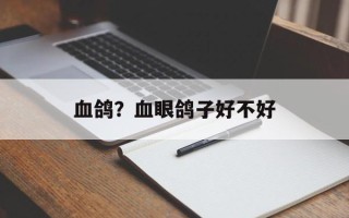 血鸽？血眼鸽子好不好