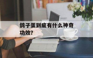 鸽子蛋到底有什么神奇功效？