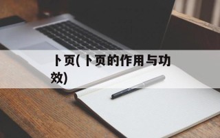 卜页(卜页的作用与功效)