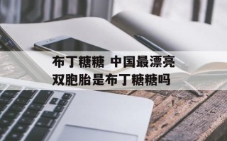 布丁糖糖 中国最漂亮双胞胎是布丁糖糖吗