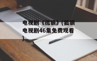 电视剧《孤狼》(狐狼电视剧46集免费观看)