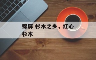 锦屏 杉木之乡，红心杉木