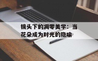 镜头下的凋零美学：当花朵成为时光的隐喻
