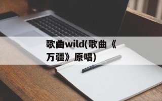 歌曲wild(歌曲《万疆》原唱)