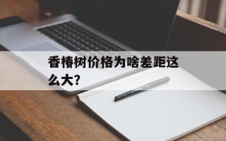 香椿树价格为啥差距这么大？