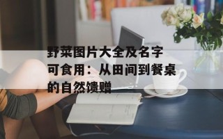 野菜图片大全及名字 可食用：从田间到餐桌的自然馈赠