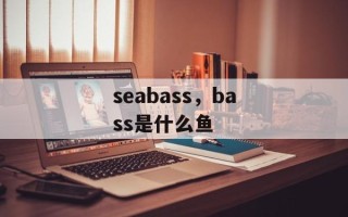 seabass，bass是什么鱼