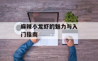 麻辣小龙虾的魅力与入门指南