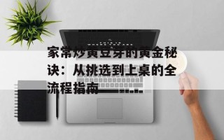 家常炒黄豆芽的黄金秘诀：从挑选到上桌的全流程指南