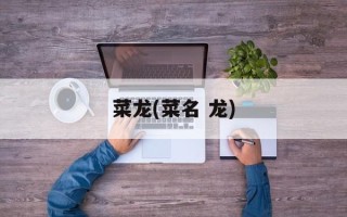 菜龙(菜名 龙)
