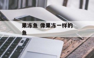 果冻鱼 像果冻一样的鱼