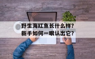 野生海红鱼长什么样？新手如何一眼认出它？