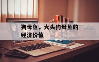 狗母鱼，大头狗母鱼的经济价值