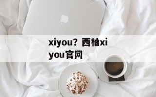 xiyou？西柚xiyou官网