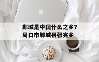 郸城是中国什么之乡？周口市郸城县张完乡