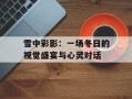 雪中彩影：一场冬日的视觉盛宴与心灵对话