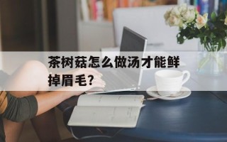 茶树菇怎么做汤才能鲜掉眉毛？