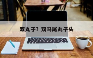 双丸子？双马尾丸子头